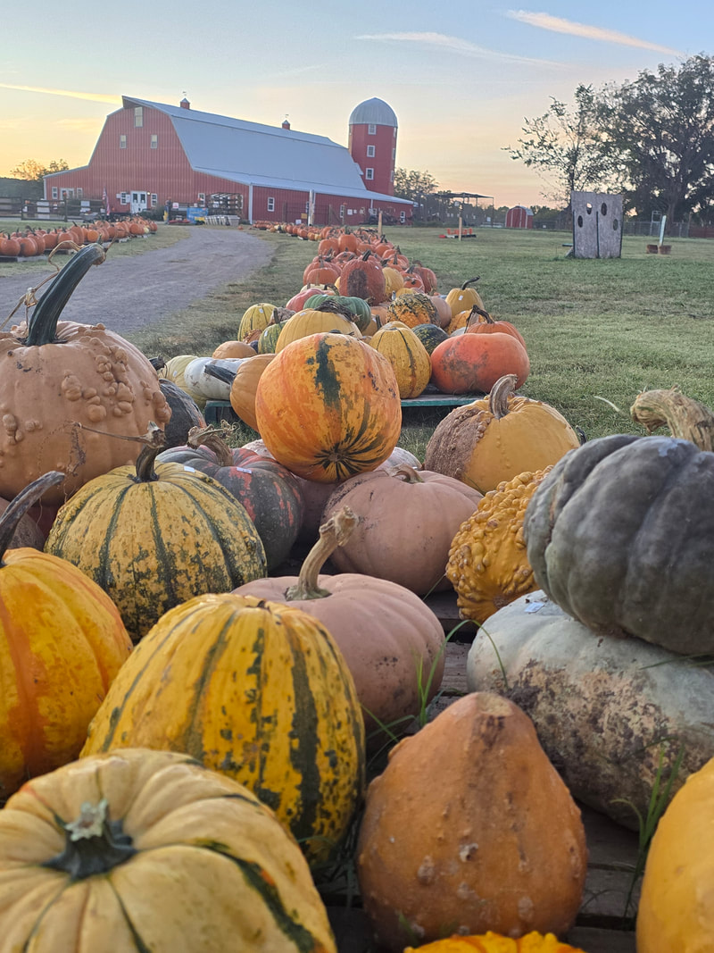 Pumpkin Festival at Shepherd's Cross