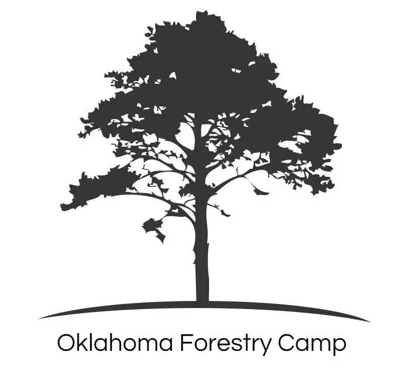 Oklahoma Forestry Youth Camp Applications Due