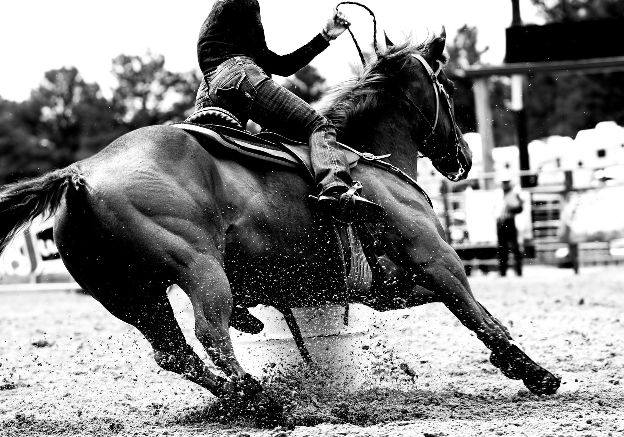 Will Rogers Memorial Rodeo
