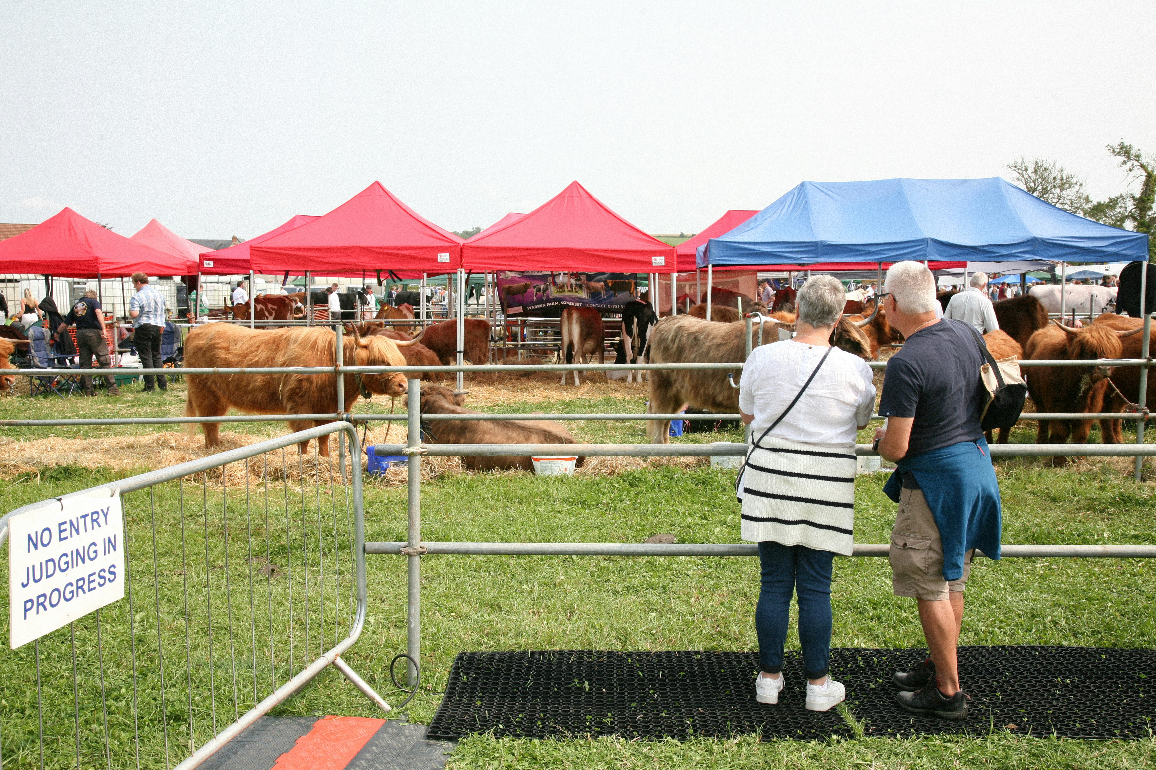 Craig County Free Fair