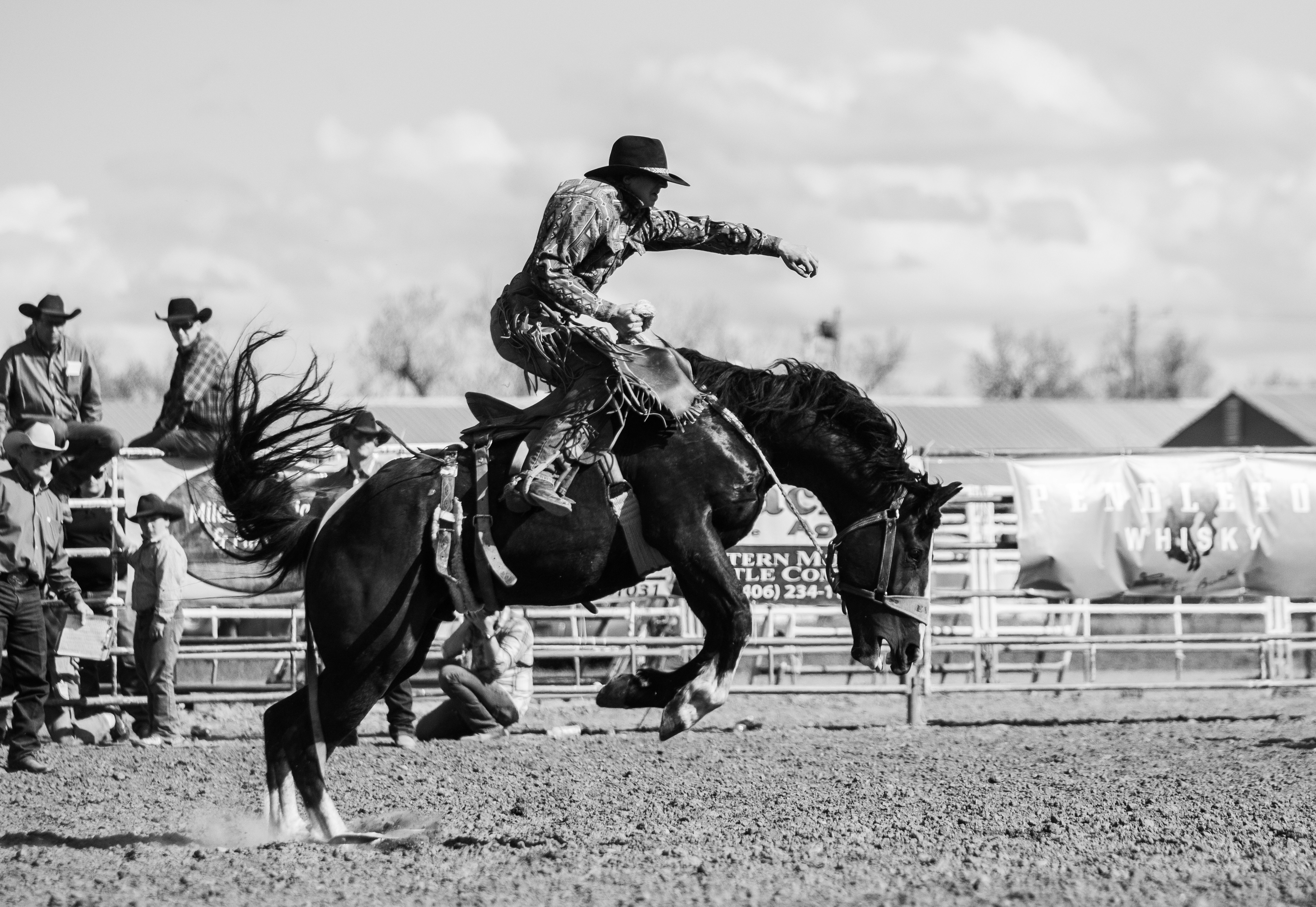 Jim Shoulders Living Legends Rodeo